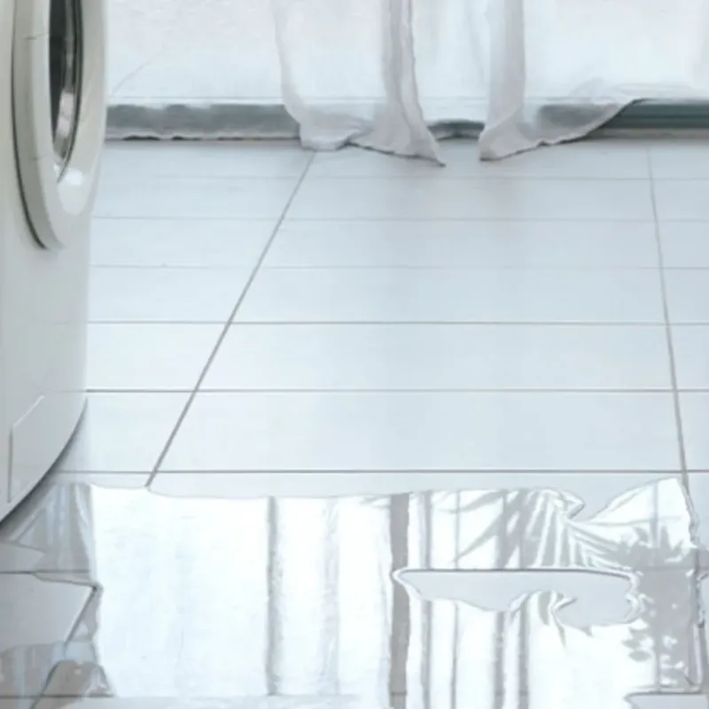 Appliance Leak Cleanup in Hill County, TX