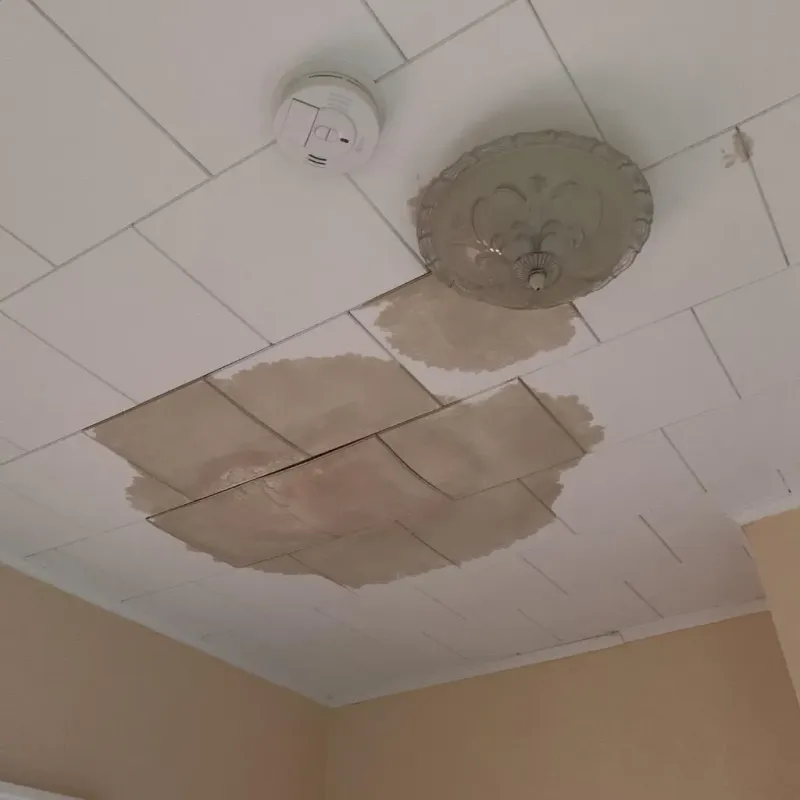 Ceiling Water Damage Repair in Hill County, TX