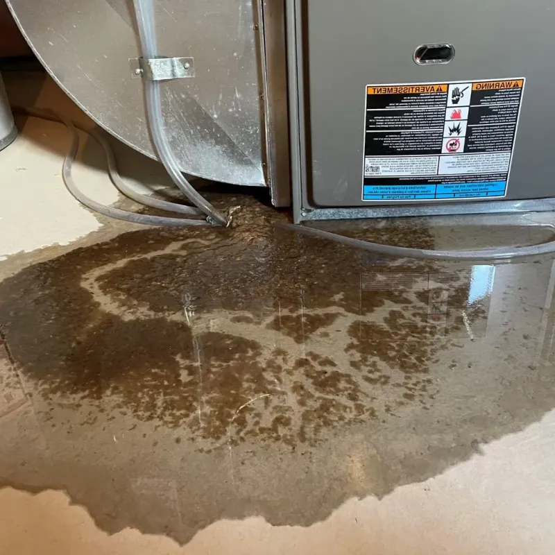 Pipe Burst and Leak Restoration in Hill County, TX