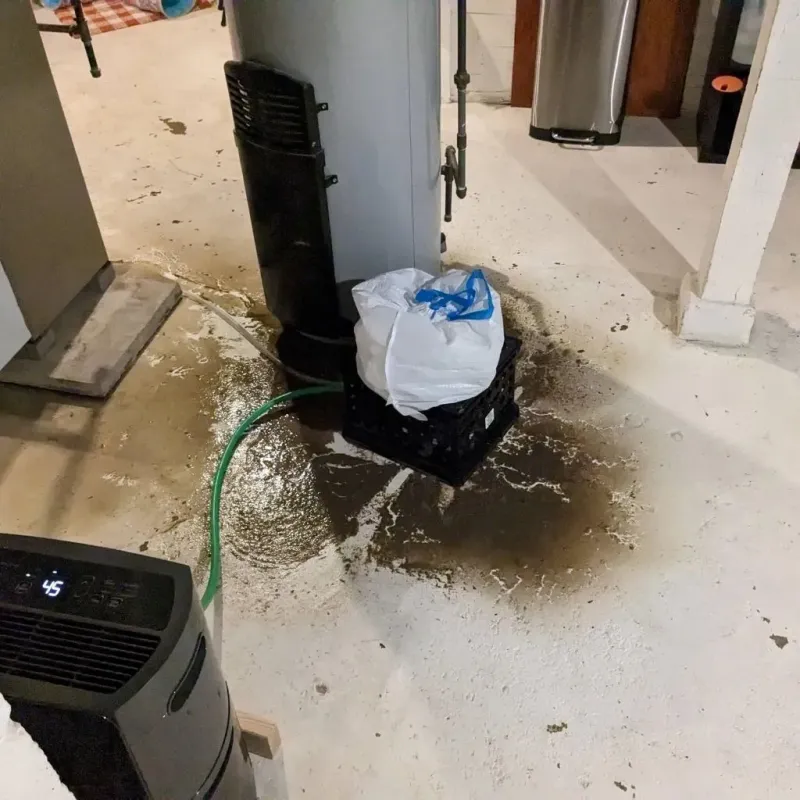 Sewage Backup Cleanup Service in Hill County, TX